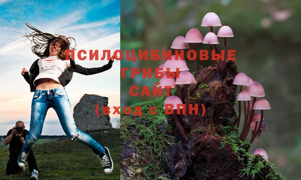 эйфоретик Абдулино