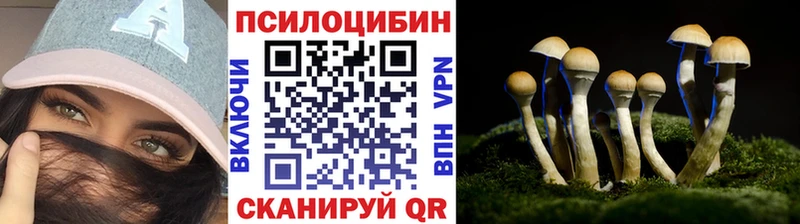 darknet состав  закладки  Хасавюрт  Псилоцибиновые грибы мухоморы 
